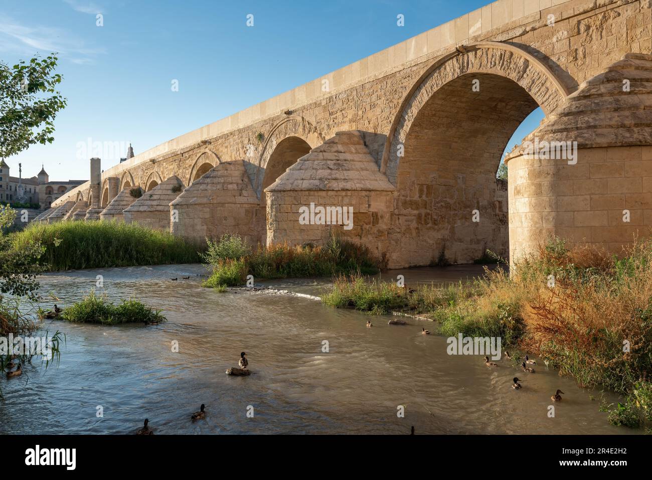 Römische Brücke von Cordoba am Fluss Guadalquivir - Cordoba, Andalusien, Spanien Stockfoto