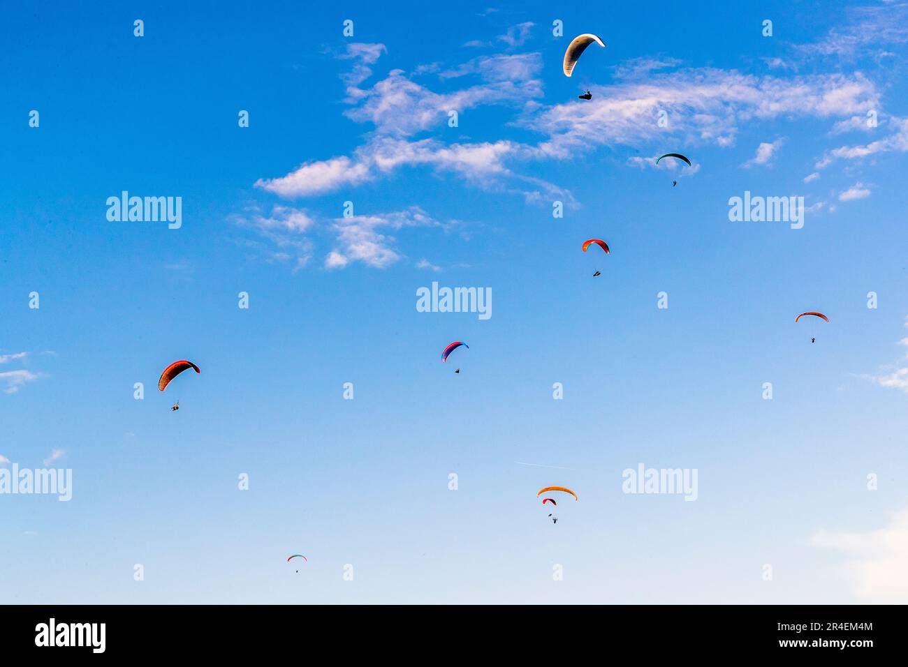 Mehrere Gleitschirmflieger kreisen den Abendhimmel über dem Goasnalm auf dem Gaisberg (1.287 m), Salzburgs Hausberg, Österreich. Ein hellroter und weißer Schirm ragt am höchsten in den Himmel. Stockfoto