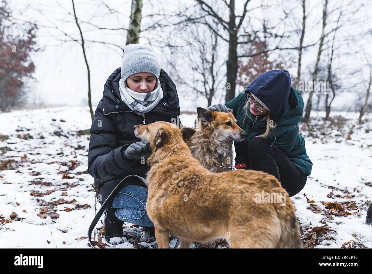 Im Winter liefen zwei Frauen in warmen Kleidern und kuschelten im Schnee mit hübschen Hunden aus dem Obdachlosenheim. Hochwertiges Foto Stockfoto