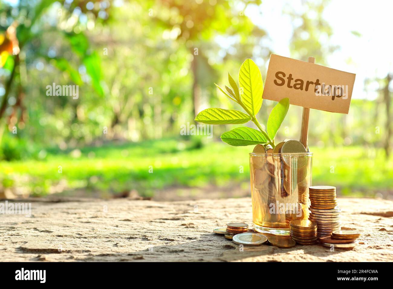 Investition in das Konzept des Start-up-Unternehmens. Münzen in einem Glas mit Erde und wachsender Pflanze im Naturhintergrund. Stockfoto