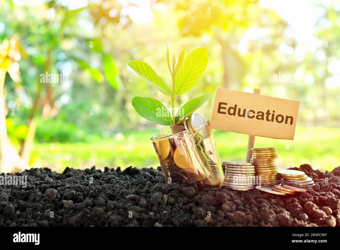 Investitionen in das Bildungskonzept. Münzen in einem Glas mit Erde und wachsender Pflanze im Naturhintergrund. Stockfoto