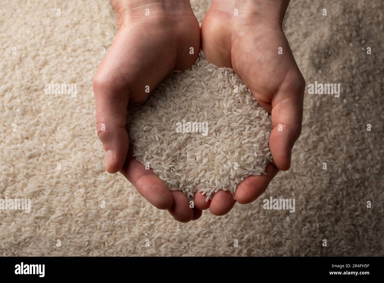 Menschliche Hände, die eine Handvoll Reis im Hintergrund halten Stockfoto