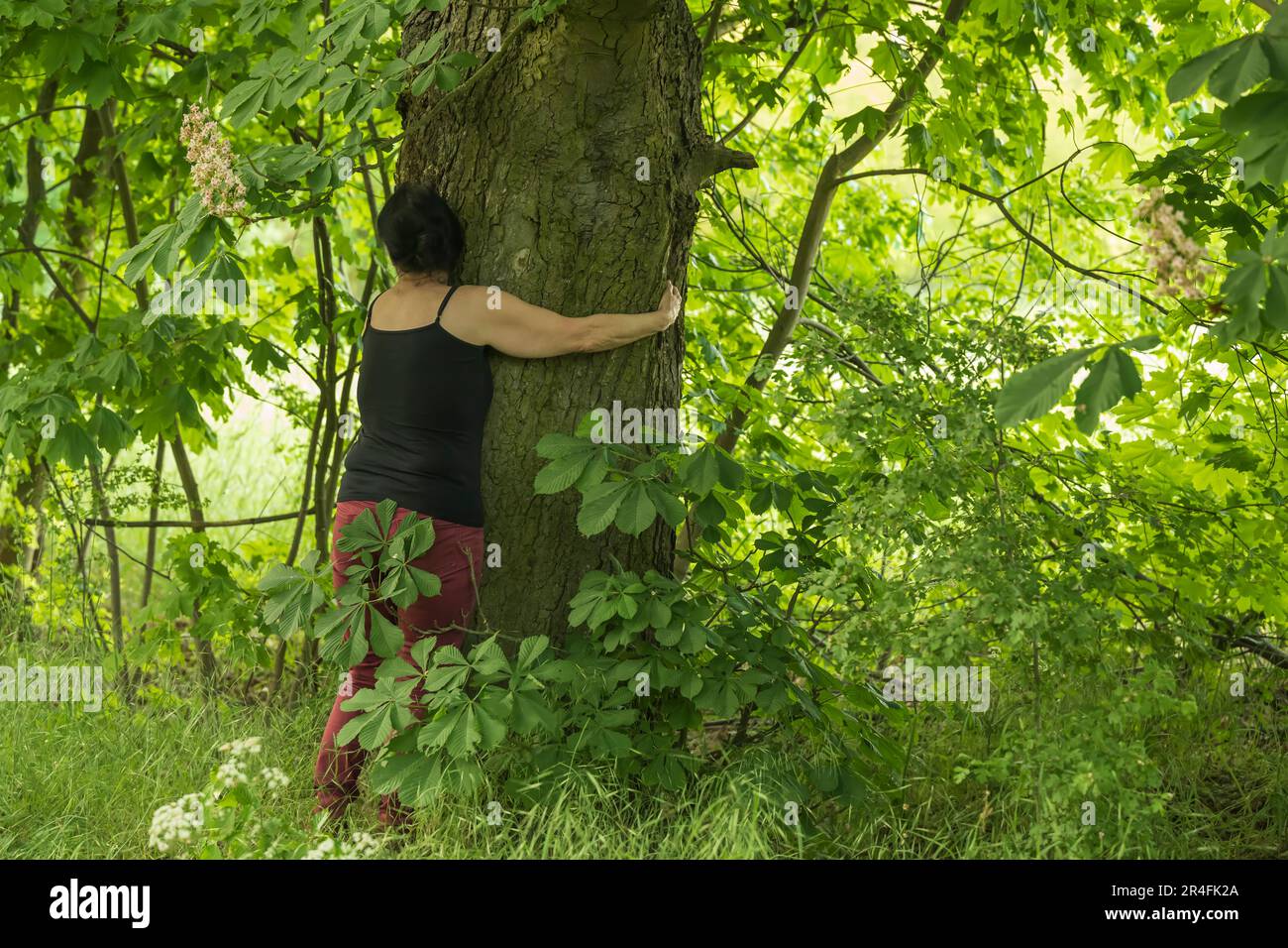 Eine Frau umarmt einen Baum Stockfoto