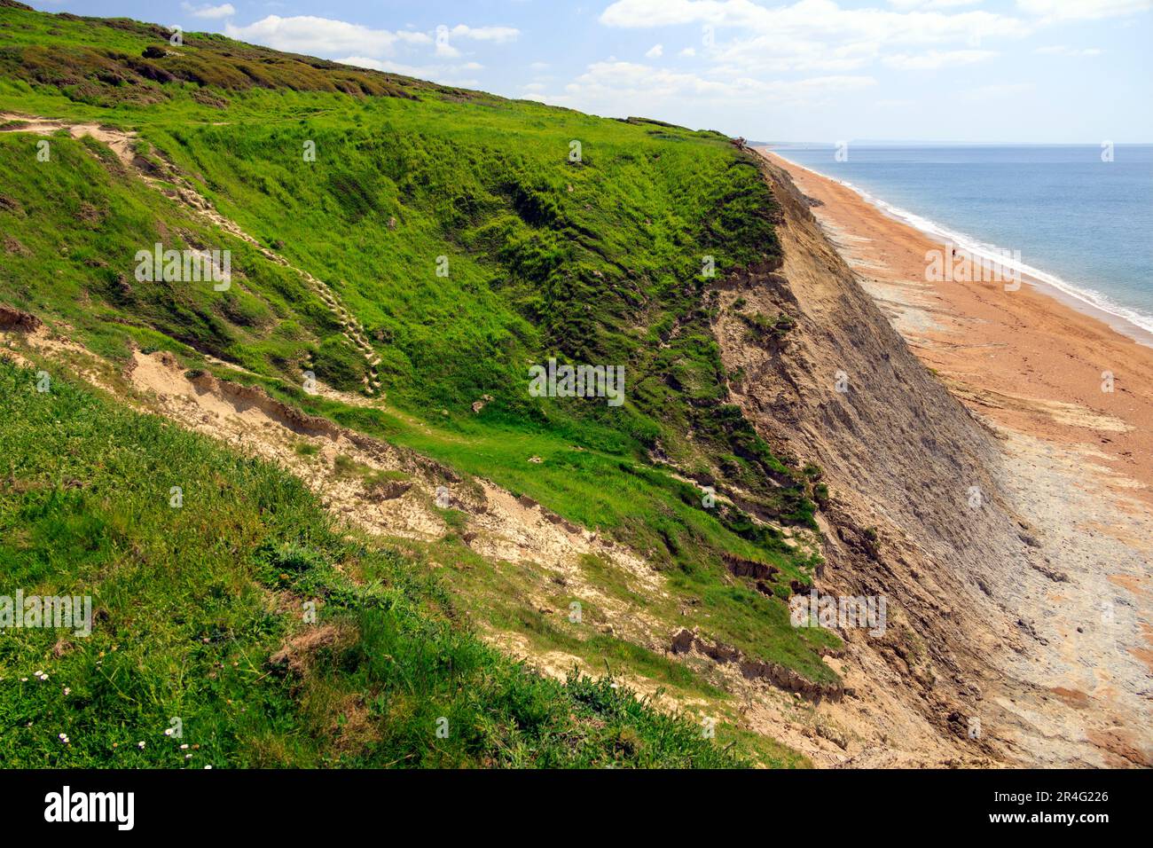 Die Sandsteinklippen fallen immer weiter ab und gelangen östlich von Burton Bradstock an der Jurassic Heritage Coast, Dorset, England, Großbritannien Stockfoto