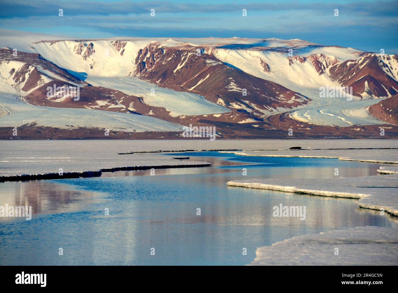 Gletscherspalte im Packeis, Manson Icefield Halbinsel und Jakeman Glacier, Ellesmere Island, Nunavut, Kanada Stockfoto