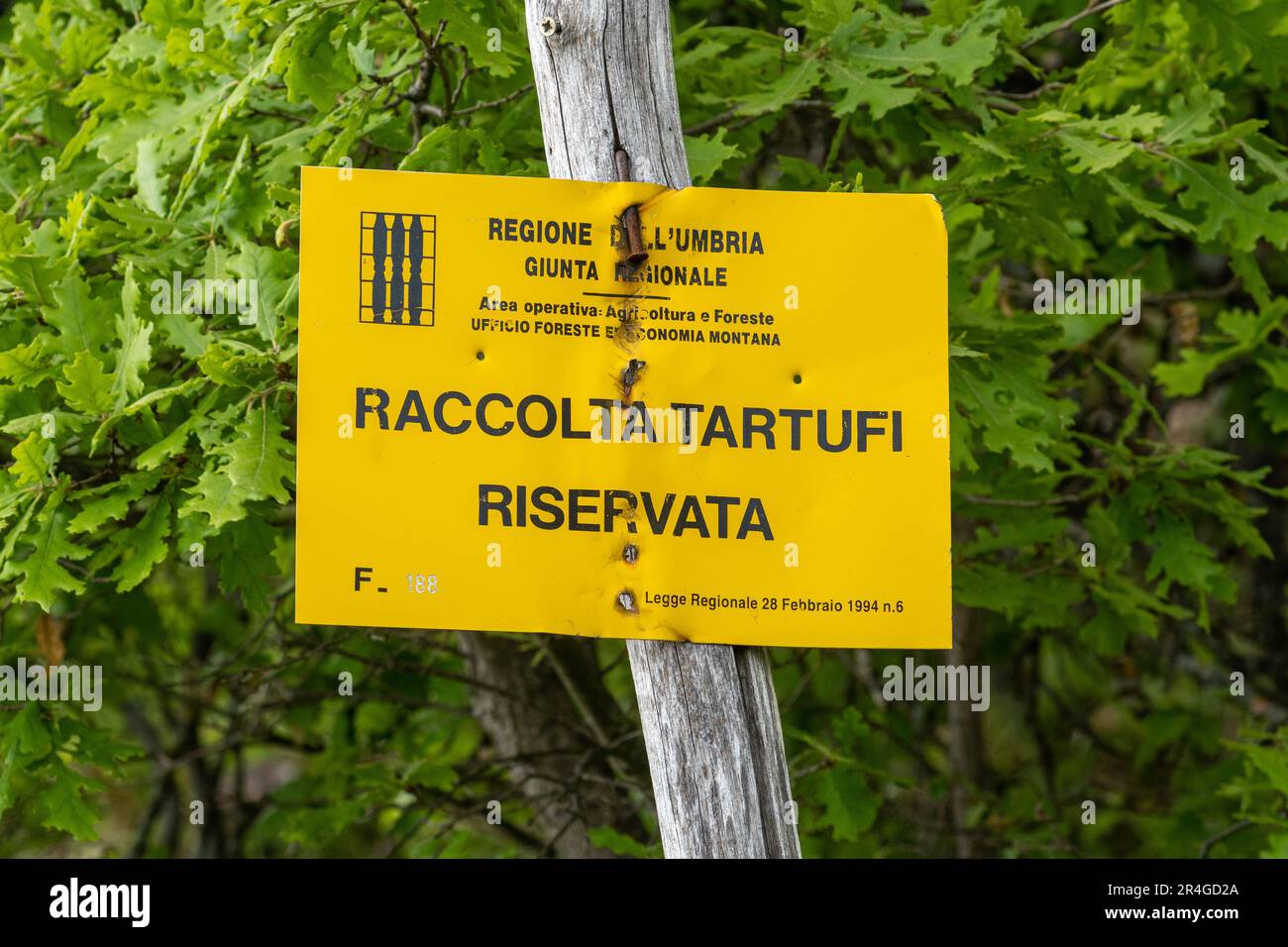 Trüffelsammlung verboten, in einem Naturschutzgebiet in den Apenninen, Umbrien, Mittelitalien, Europa unterschreiben Stockfoto