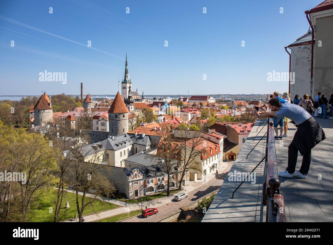 Touristen sehen Vanalinn, die Altstadt von Tallinn, Estland, von der Aussichtsplattform Patkuli Vaateplats auf dem Hügel von Toompea aus Stockfoto