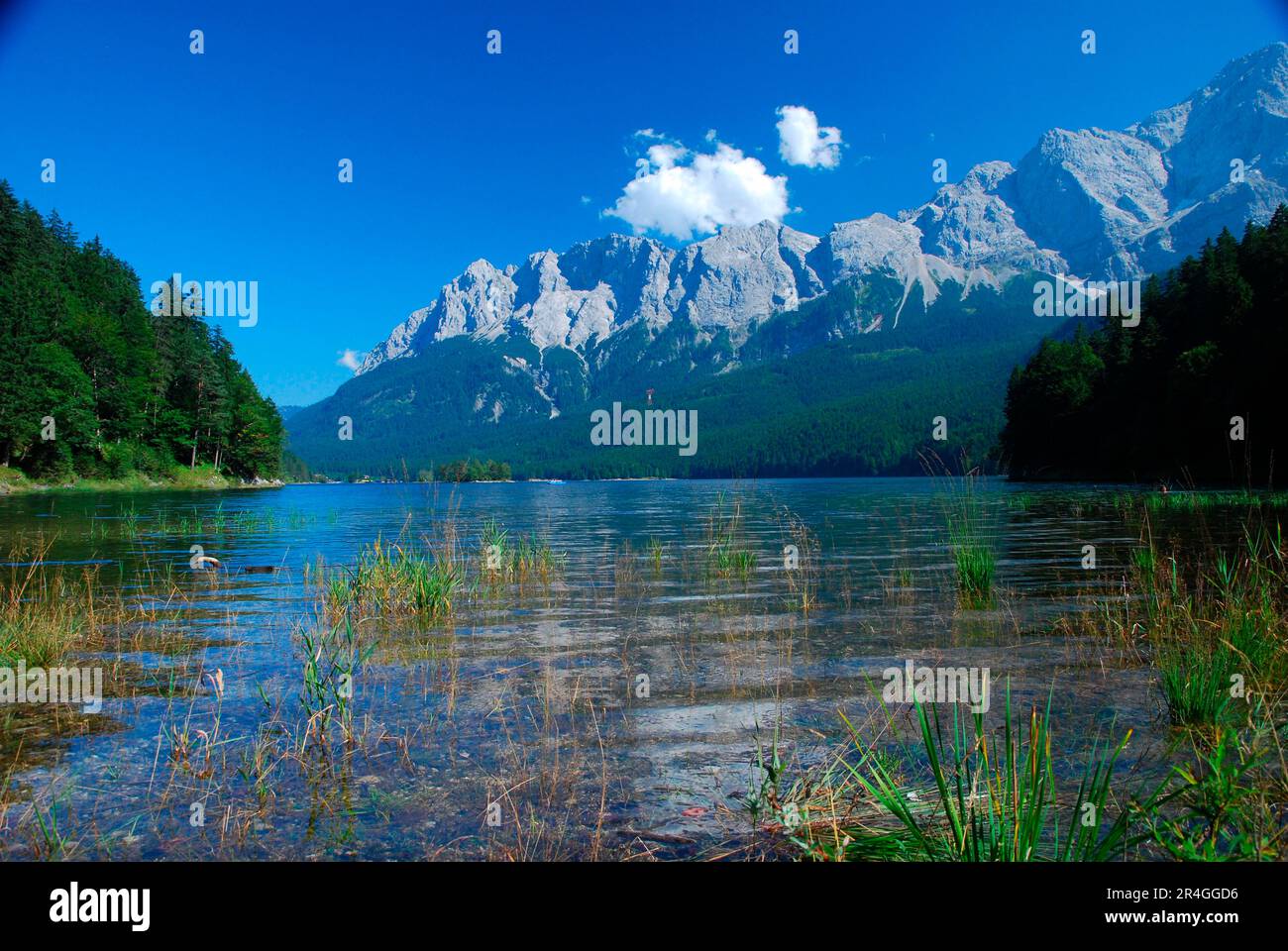Eibsee, Zugspitze Group, Loisachtal, Zugspitzland, Bayern, Deutschland Stockfoto
