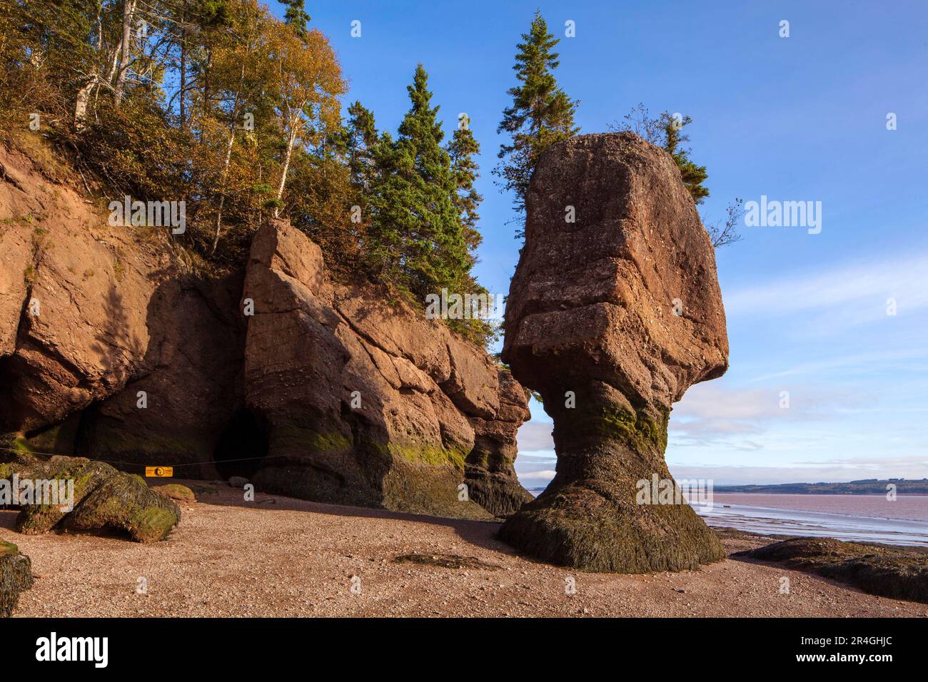Hopewell Rocks, Tidal Beach, New Brunswick, Kanada Stockfoto