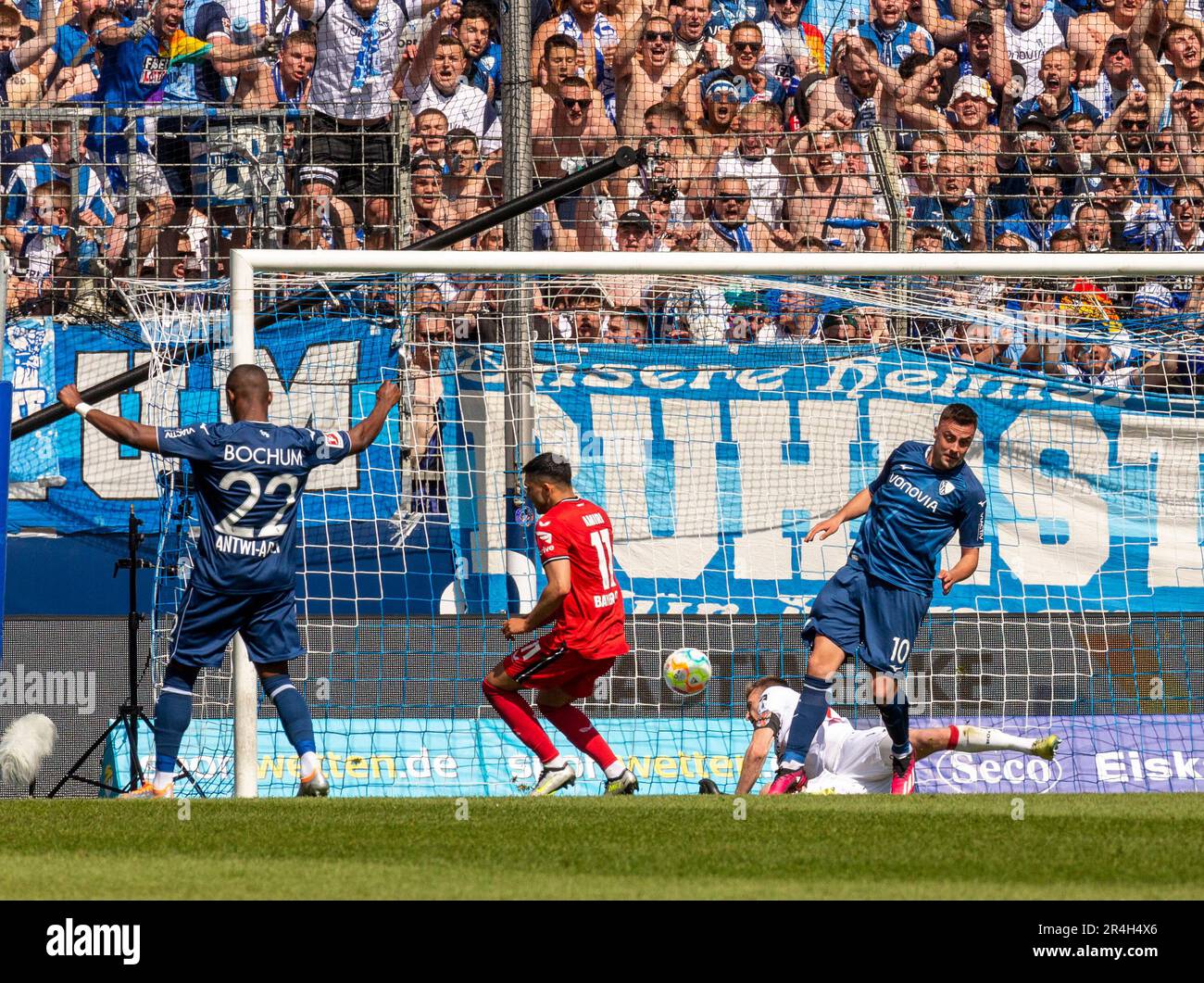Sport, Fußball, Bundesliga, 2022/2023, VfL Bochum vs. Bayer 04 Leverkusen 3-0, Vonovia Ruhr Stadium, Spielszene, 1-0 Tor, f.l.t.r.r.l. Christopher Antwi Adjei (VfL), Nadiem Amiri (Lev), Keeper Lukas Hradecky (Lev), Torschütze Philipp Foerster (VfL), die DFL-VORSCHRIFTEN VERBIETEN DIE VERWENDUNG VON FOTOS ALS BILDSEQUENZEN UND/ODER QUASI-VIDEO Stockfoto