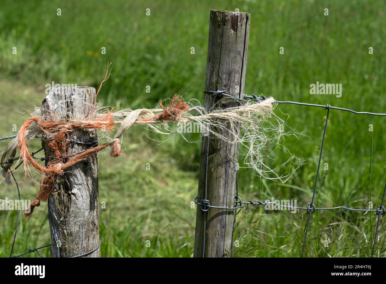 Drahtzäune auf einer Weide mit zwei verwitterten Holzpfosten, die an den Enden durch ein Seil zusammengehalten werden. Sieht nicht so robust aus Stockfoto