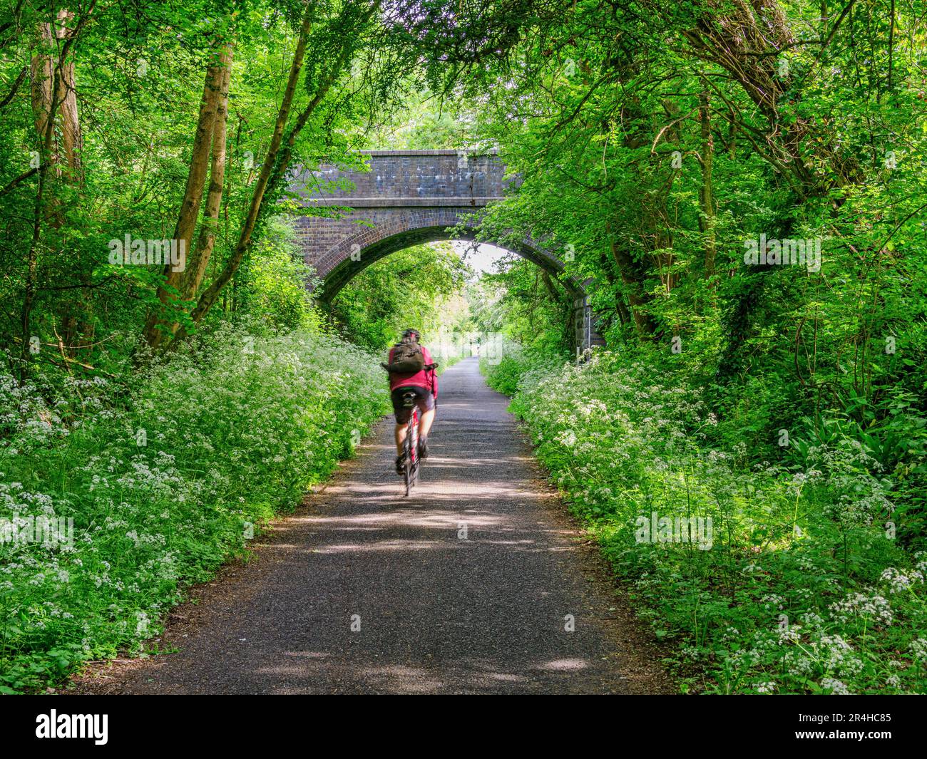 Radfahrer auf dem Bristol and Bath Railway Path eine gemeinsame, verkehrsfreie Strecke, die das Zentrum der beiden Städte verbindet Stockfoto
