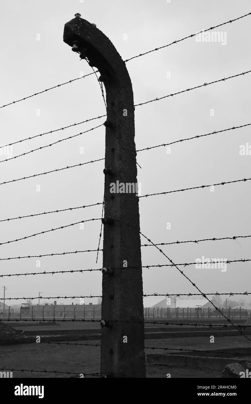 Schwarzweißbild von Stacheldrahtzäunen im Torhaus Auschwitz II-Birkenau. Polen Europa. Stockfoto
