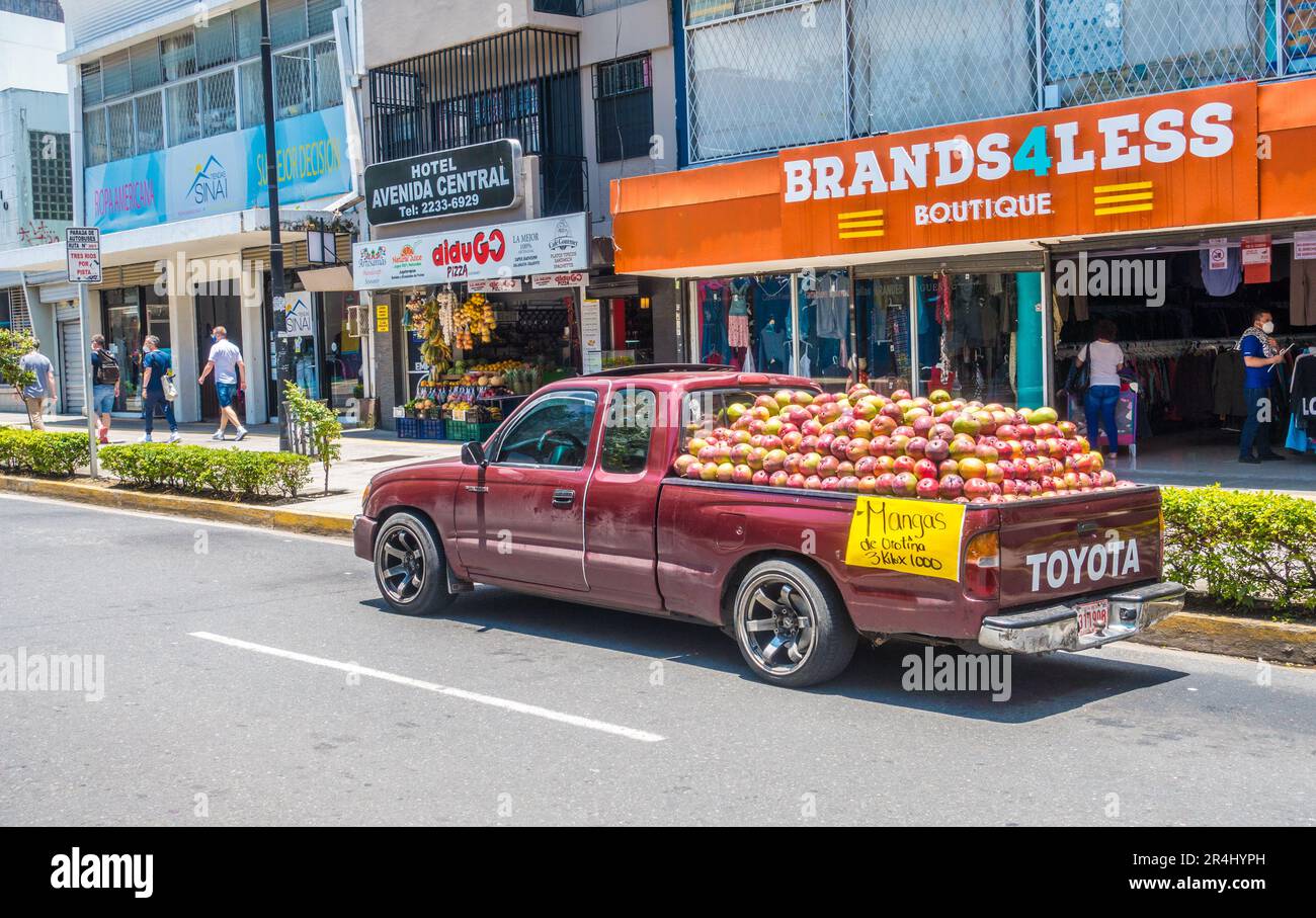 Pickup-Truck gefüllt mit Mangos (Mangifera indica) zum Verkauf in San José, Costa Ri9ca. Stockfoto