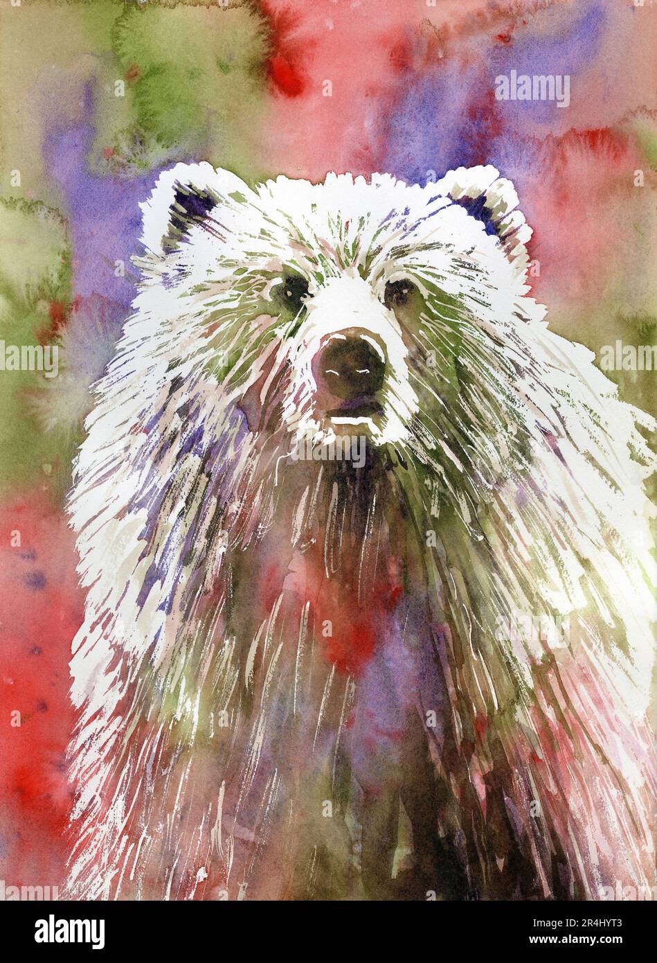 Farbenfrohes Aquarellgemälde Grizzlybär mit Kunstdruck an der Wand Dekor mit Tierlandschaft und Giclee-Druck Stockfoto Farbenfrohes Aquarellgemälde Grizzlybär mit Kunstdruck an der Wand Dekor mit Tierlandschaft und Giclee-Druck Stockfoto