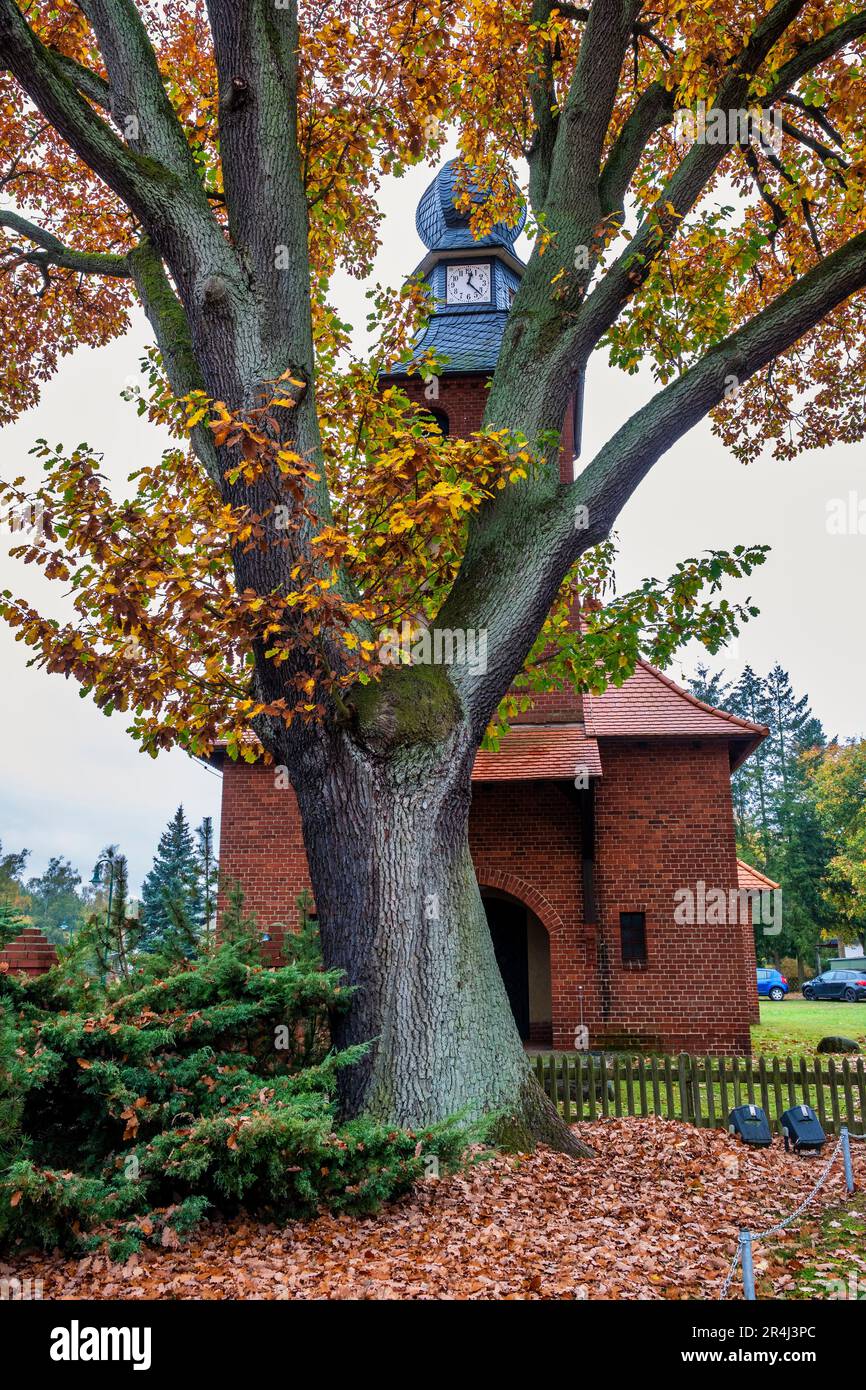 Dorfkirche Sophienstädt, Brandenburg, Deutschland Stockfoto