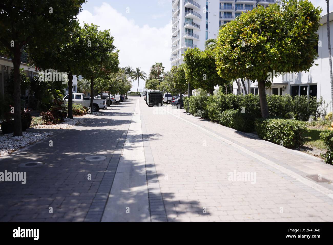 Schöne, saubere grüne Straßen in Miami Beach, Florida, April 14 2022 Stockfoto