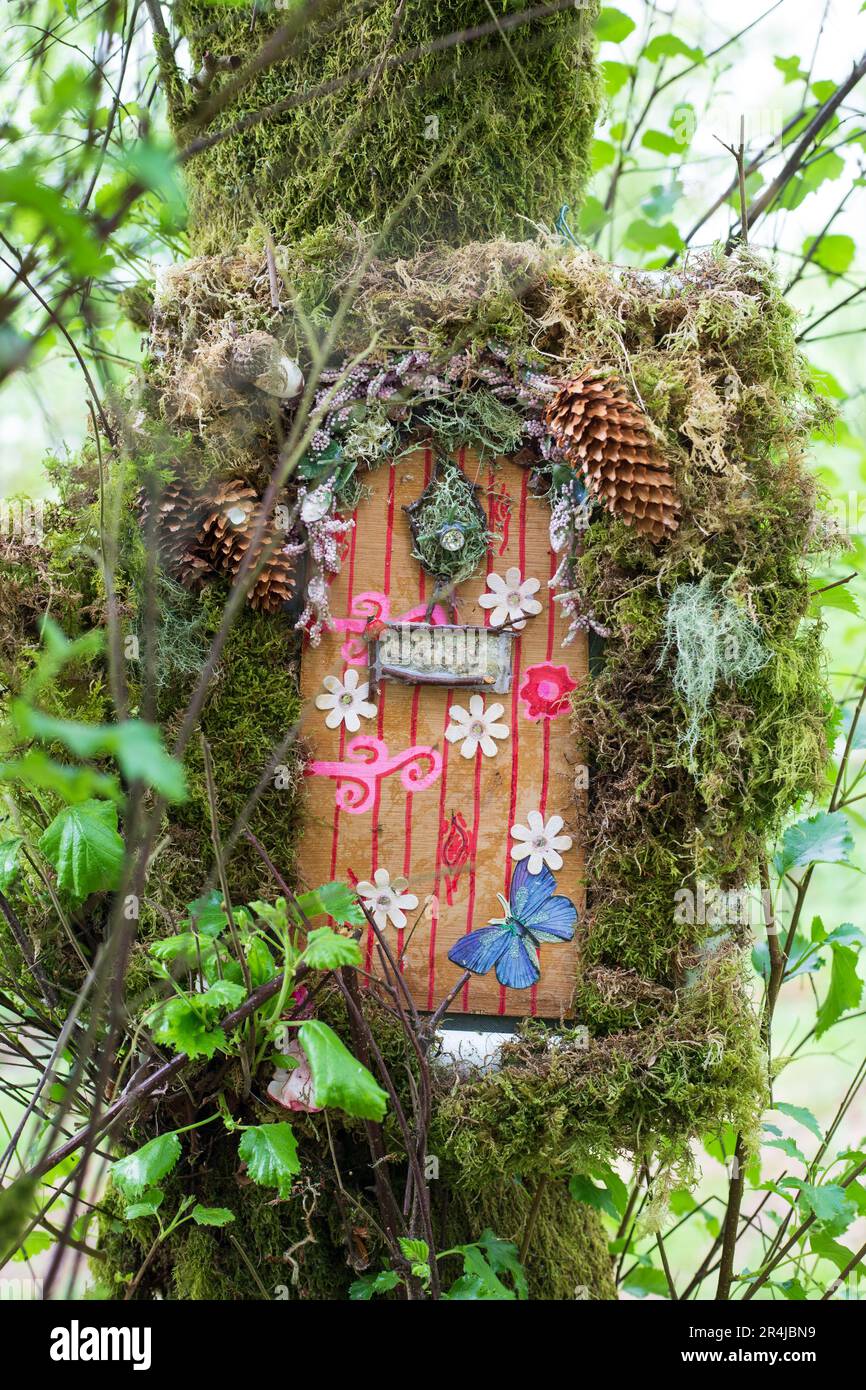 Eine Fee-Tür im Wald Stockfoto