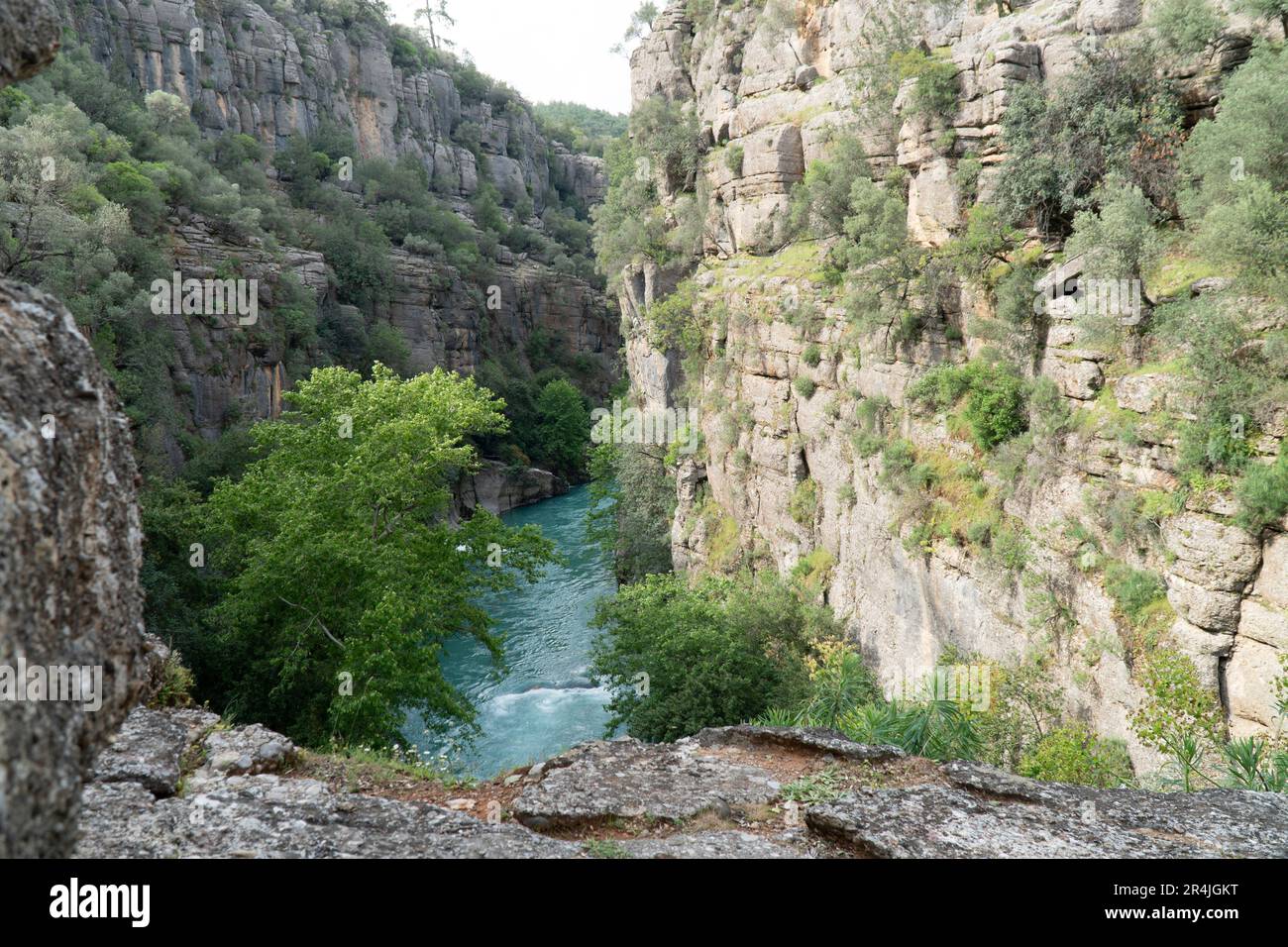 Natürliche Landschaft. Fluss zwischen Bergschlucht. Grüne Bäume in Stein. Selektiver Fokus Stockfoto