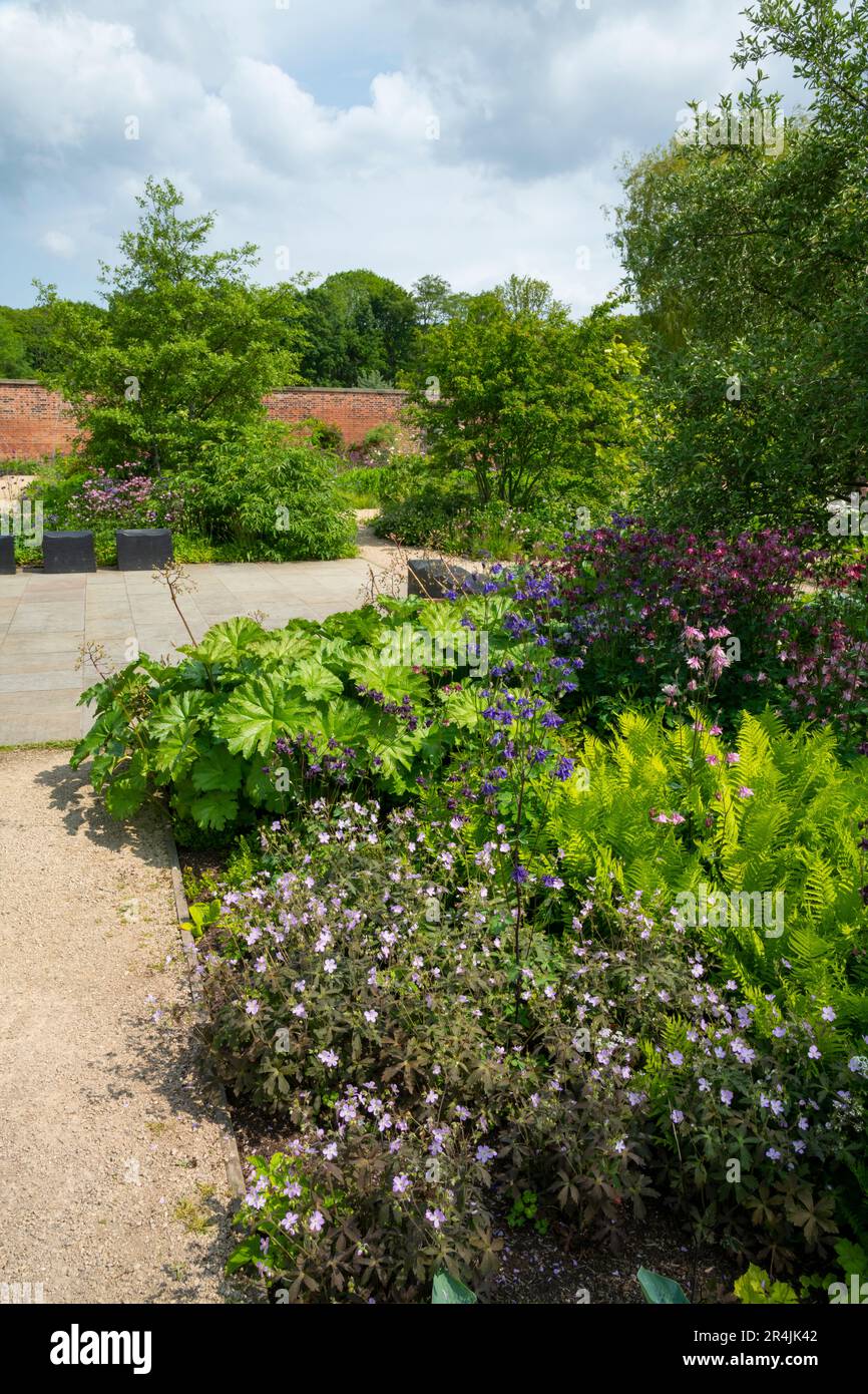 Mehrjährige Pflanzen an einem Ende des Kitchen Garden in RHS Bridgewater, Worsley Greater Manchester, England. Stockfoto