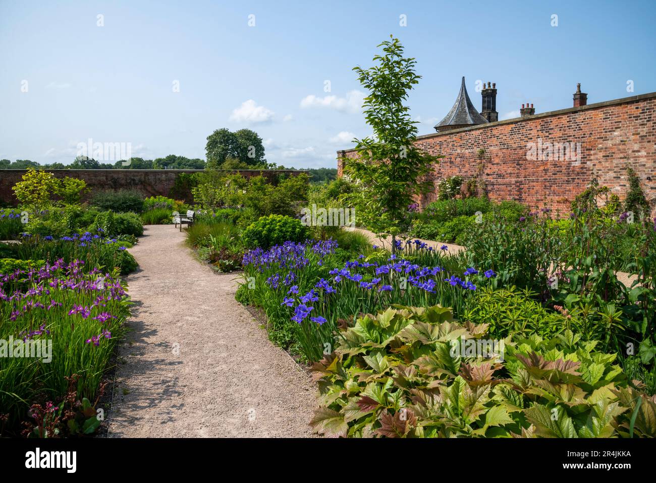 Der Paradise Garden in der RHS Bridgewater, Worsley Greater Manchester, England. Stockfoto