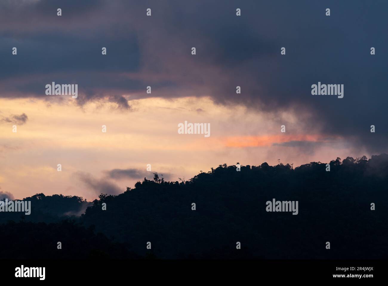 Wolkenwald Sonnenuntergang, Mindo Wolkenwald, Ecuador. Stockfoto
