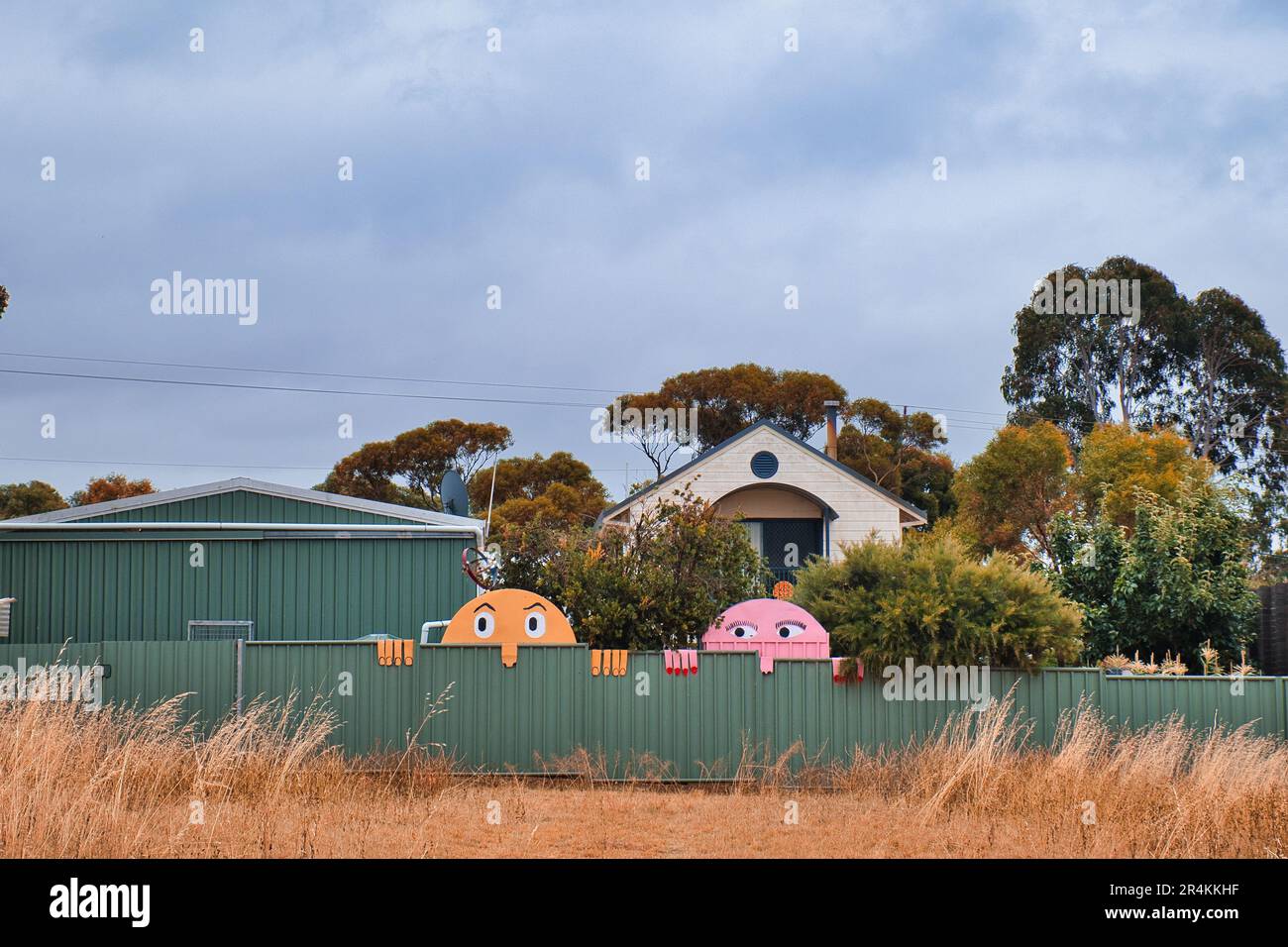 Lustige männliche und weibliche Gesichter mit großen Augen, die auf einen Zaun eines Gartens blicken, Straßenkunst in Ravensthorpe, Westaustralien Stockfoto