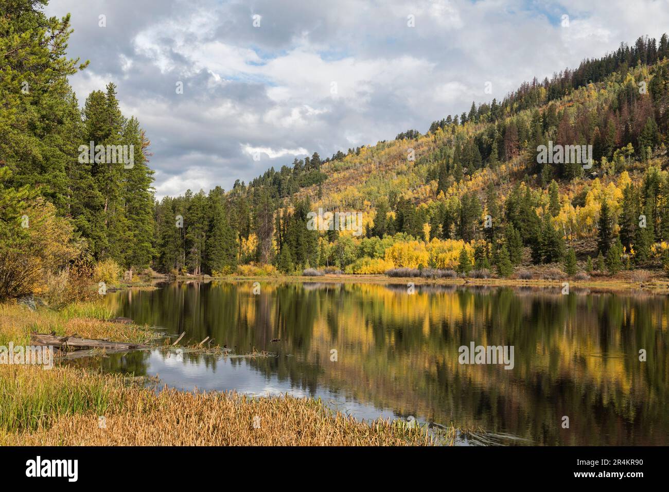 Herbstreflexionen am Chapman Reservoir, bietet viele Wassersportaktivitäten und Camping. Das Hotel befindet sich im Frying Pan River Valley in Zentral-Colorado. Stockfoto