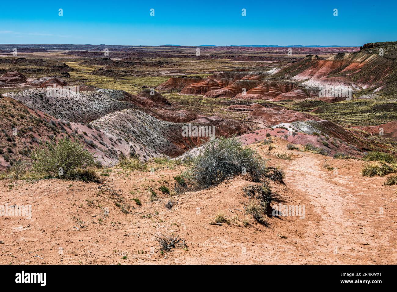 Blick auf die Painted Desert im Petrified Forest National Park Stockfoto