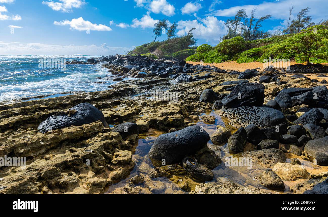 Exponiertes Korallenriff und Gezeitenbecken am Nukolii Beach, Kauai, Hawaii, USA Stockfoto