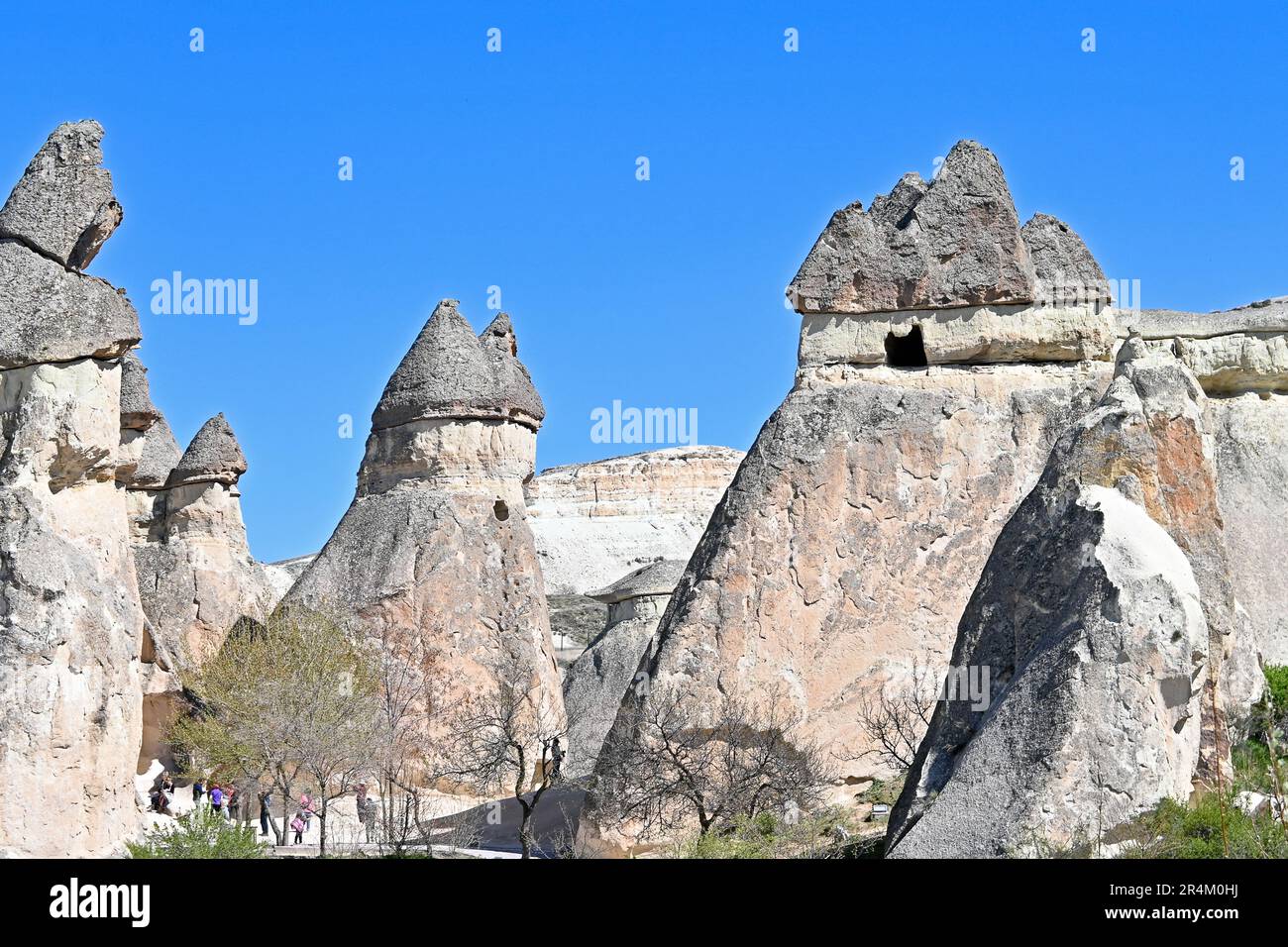 „Feenschornsteine“ in Paşabağları Müze ve Örenyeri (Paşabağları-Museum und archäologische Stätte), Capadoccia, Türkei Stockfoto