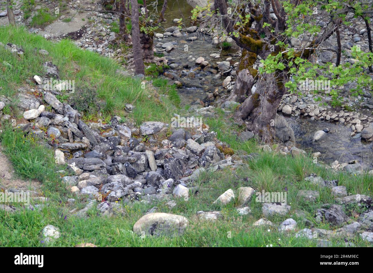 Griechenland, Thessalien, Larisa, Elassona_Flampouro Dorf_Alte Wassermühlen Ruinen und Fluss Stockfoto