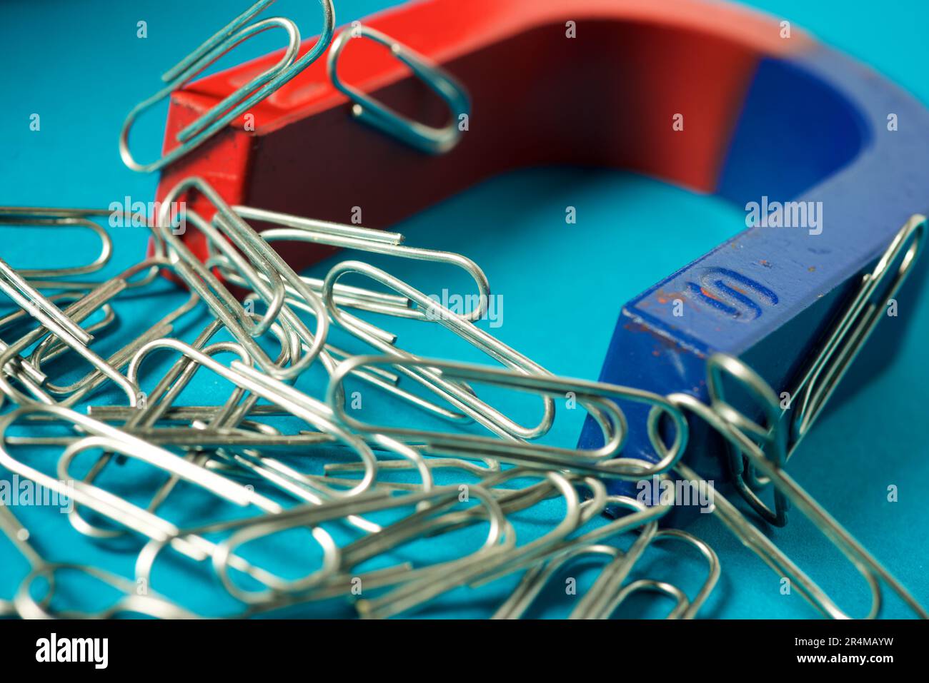 Ansicht eines roten und blauen Hufeisenmagneten auf einer grünen Oberfläche Stockfoto