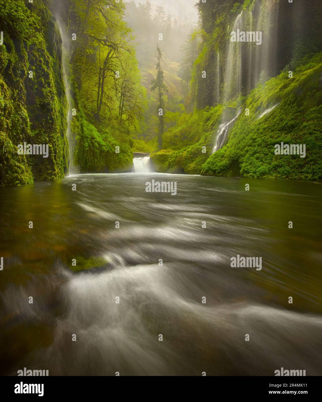 Eine Vielzahl beeindruckender Wasserfälle, die sich durch üppigen, gemäßigten Regenwald in Oregon schlängeln. Stockfoto