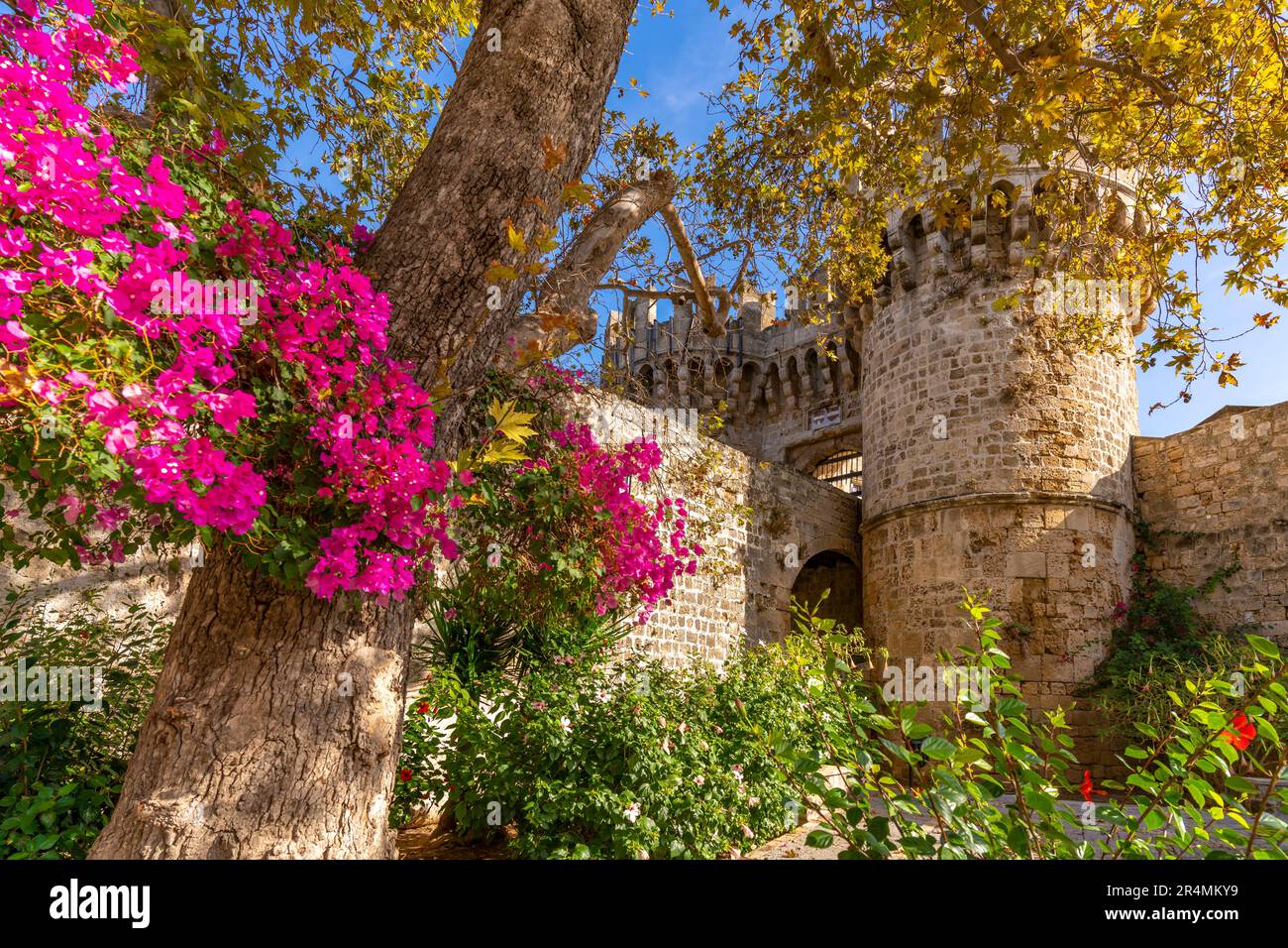 Blick auf Pili Kanonion, Altstadt von Rhodos, UNESCO-Weltkulturerbe, Rhodos, Dodekanese, griechische Inseln, Griechenland, Europa Stockfoto