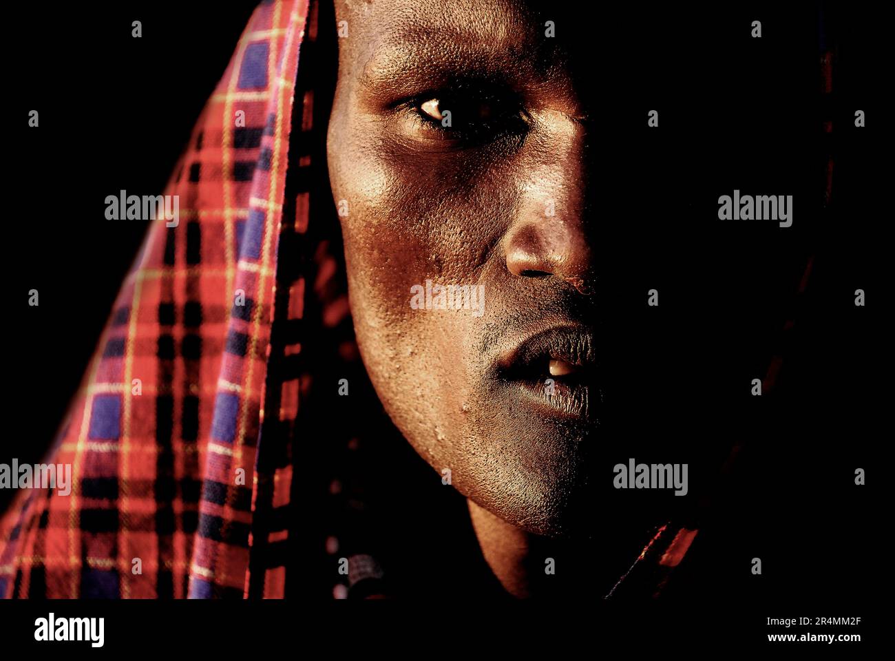 Ein Porträt eines Masai aus dem Masai-Mara National Reserve, Kenia. Stockfoto
