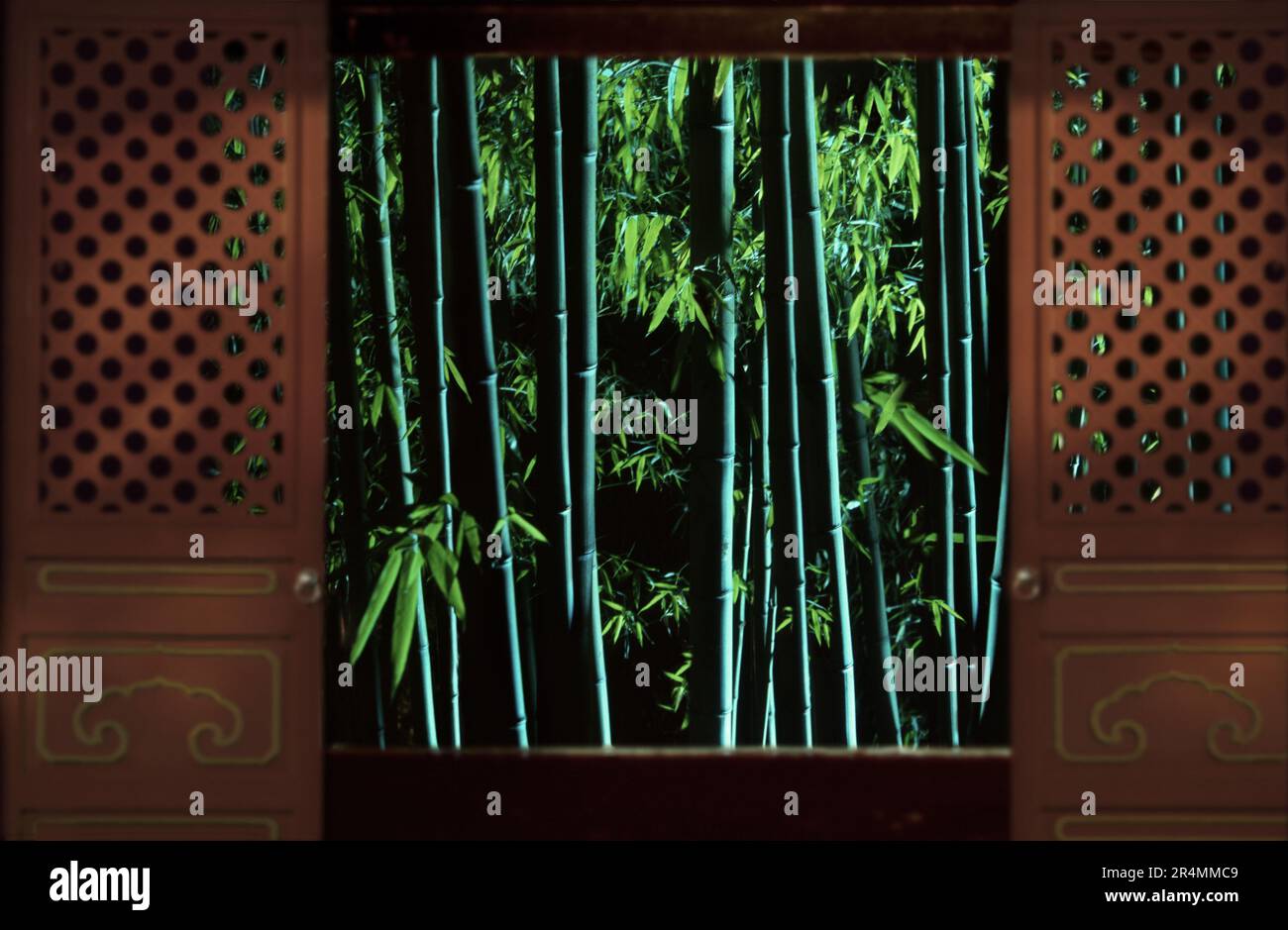 Chinesische Schiebetür mit Blick auf den Bambusgarten Stockfoto