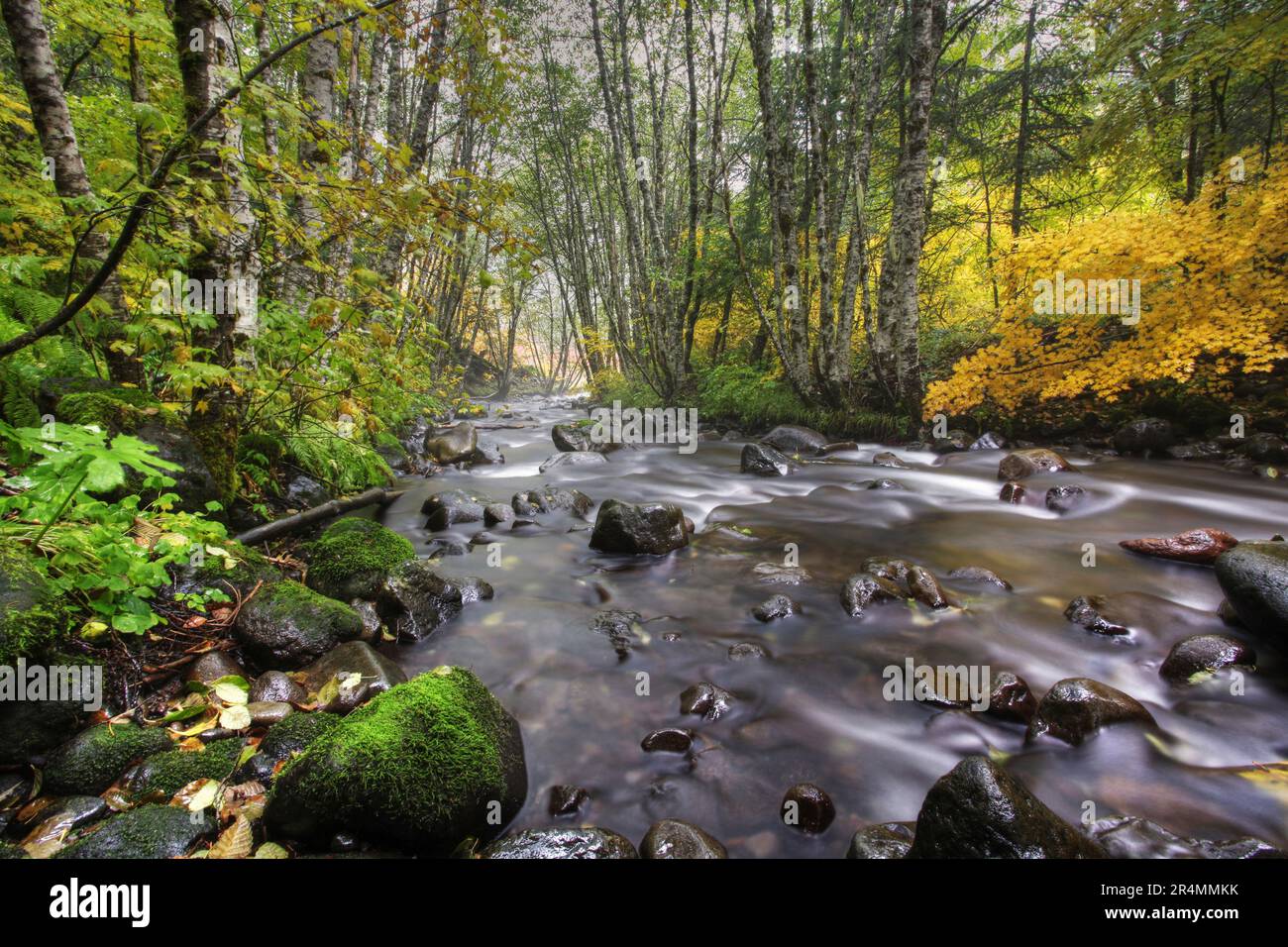 Hood River Oregon Fall Creekside Stockfoto