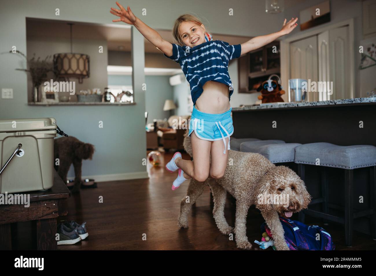 Ein Mädchen, das vor Freude in der Küche mit Hunden springt Stockfoto