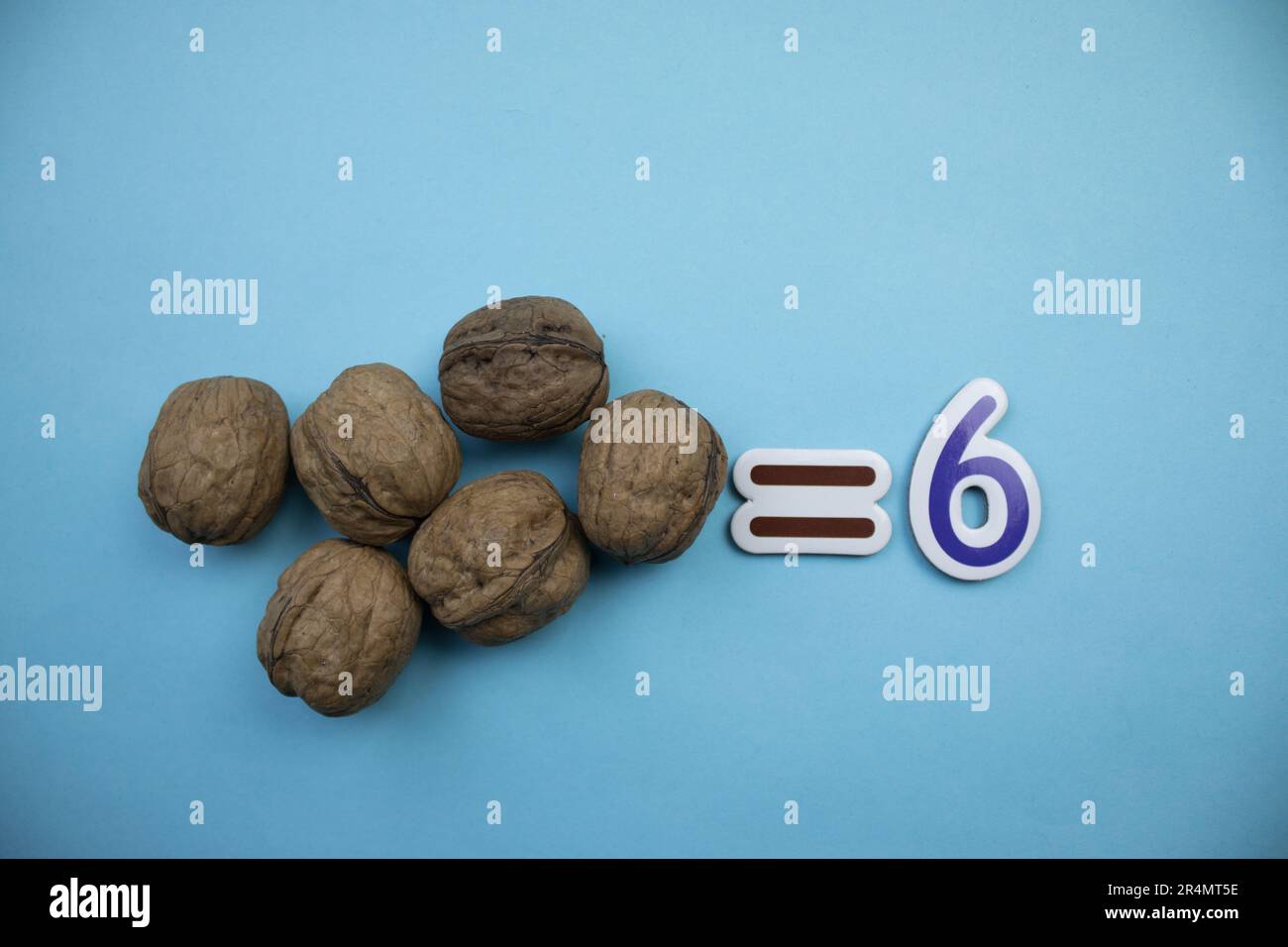 Sechs Walnüsse in Muscheln, von oben fotografiert, auf blauem Hintergrund. Stockfoto