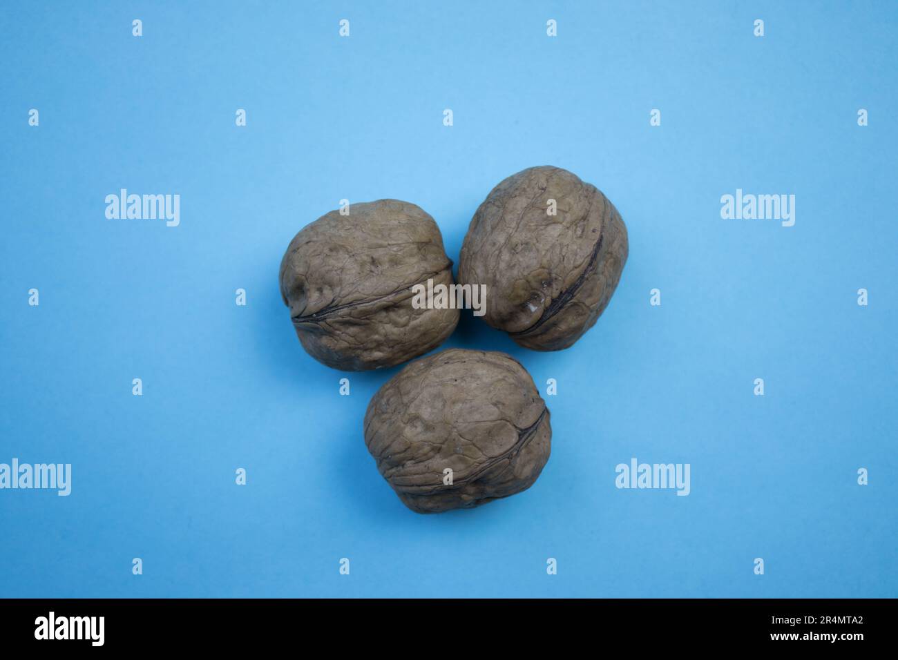 Drei Walnüsse in Muscheln, von oben fotografiert, auf blauem Hintergrund. Stockfoto