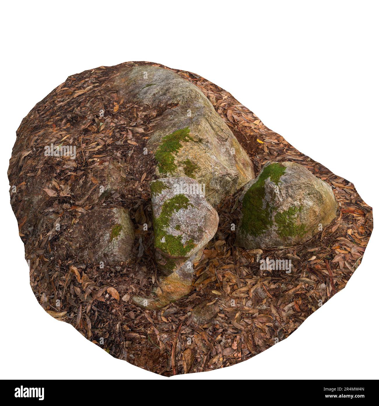 3D Darstellung von moosbedeckten Steinen, die auf trockenen Blättern auf weißem Hintergrund aufgebracht sind Stockfoto