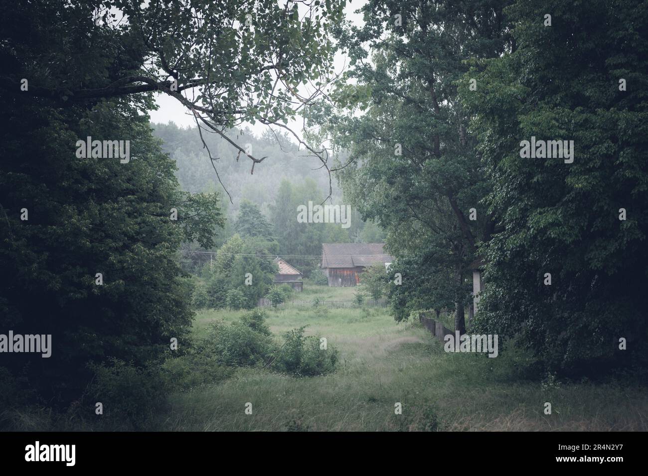 Wunderschöne ländliche Landschaft nach dem Regen. Große Bäume im Vordergrund und ein kleiner Bauernhof im Hintergrund. Eine hölzerne Scheune und ein nebliger, launischer Tag. Stockfoto