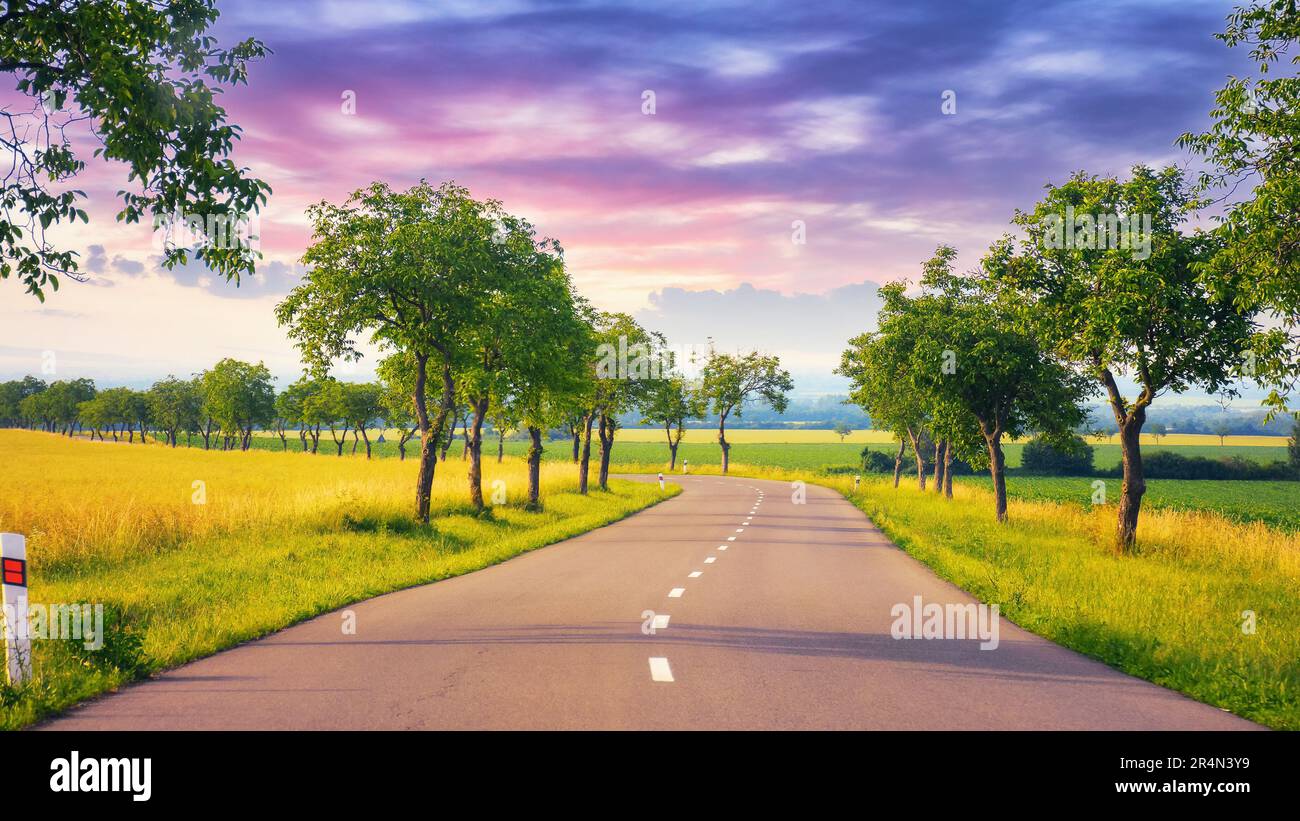 Wenn die Sonne untergeht, führt die Straße durch eine wunderschöne Landschaft. Die Reise geht weiter und verspricht eine wunderschöne Szene an jeder Ecke. Bäume entlang des Weges profitieren Stockfoto