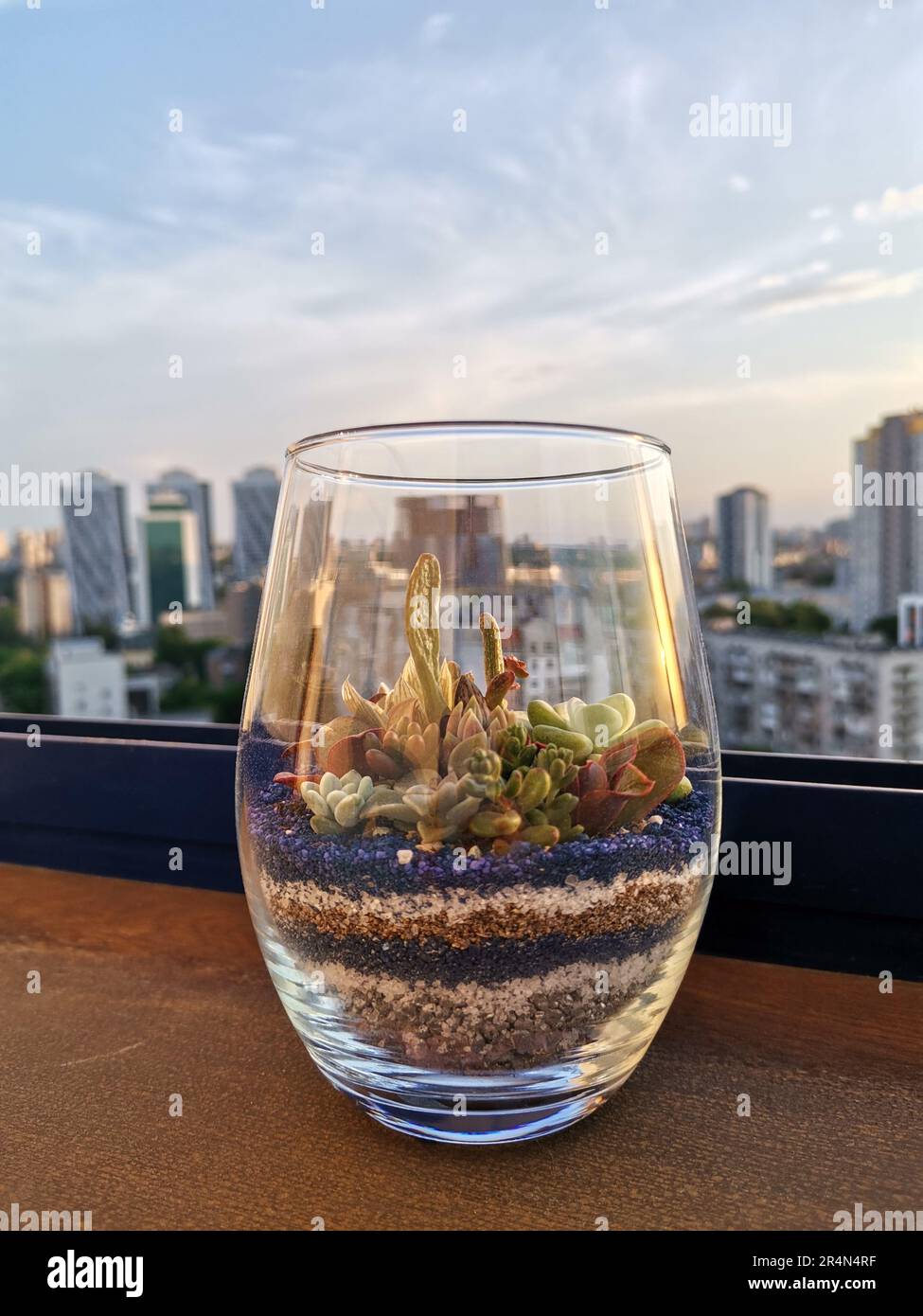 Verschiedene kleine saftige Pflanzen mit bunten Sandschichten in einem Glasbehälter mit urbaner Skyline im Hintergrund Stockfoto