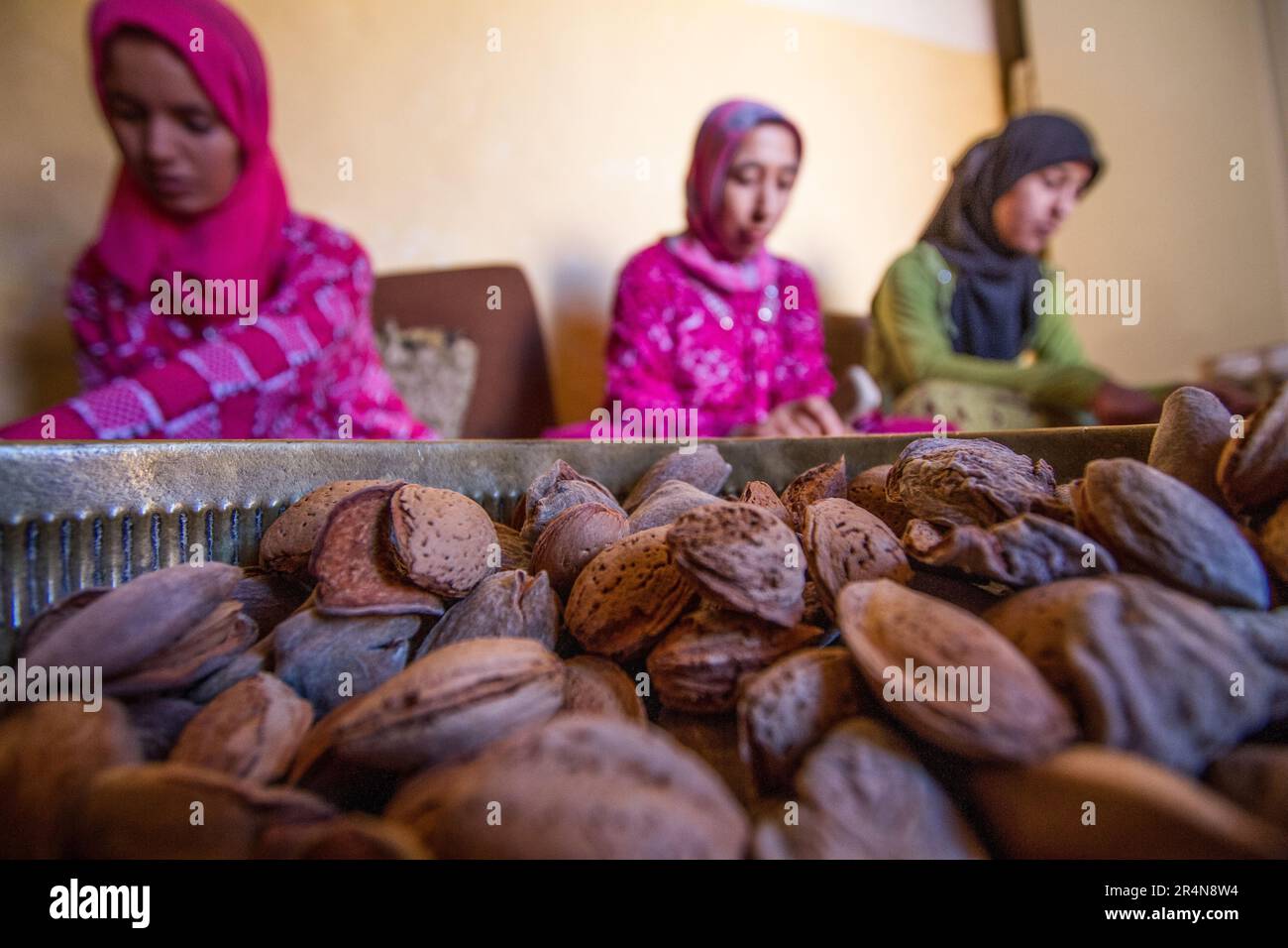 Manueller Prozess von Almond Shelling by Women in einer Sidi Bouhria Cooperative, nahe Oujda, Marokko Stockfoto