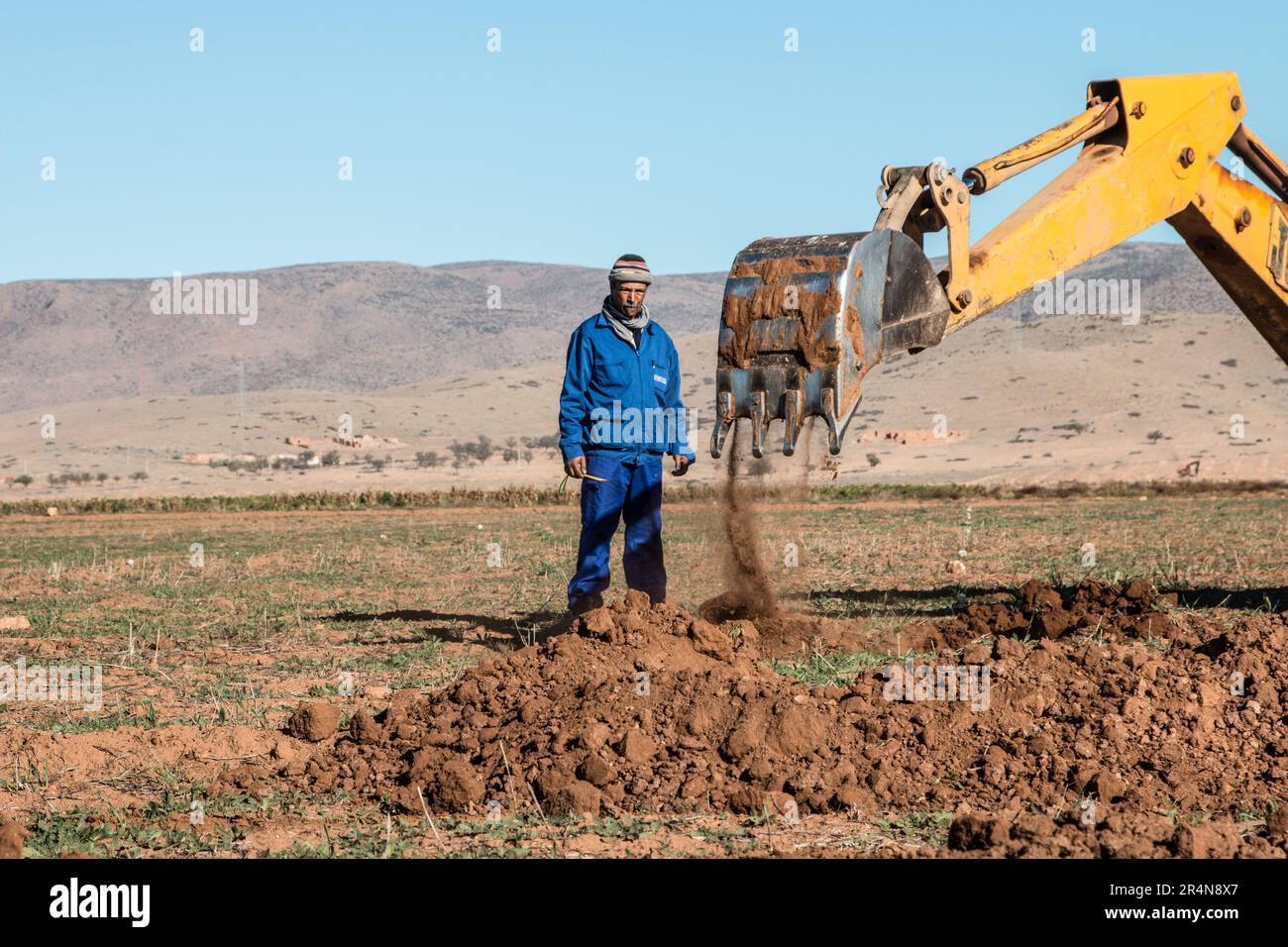Einsatz von Schwermaschinen durch Farmer zum Ausheben von Löchern für Mandelbäume auf seinem Feld Stockfoto