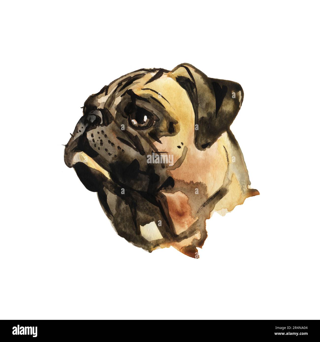 Watercolor dog -Fotos und -Bildmaterial in hoher Auflösung – Alamy