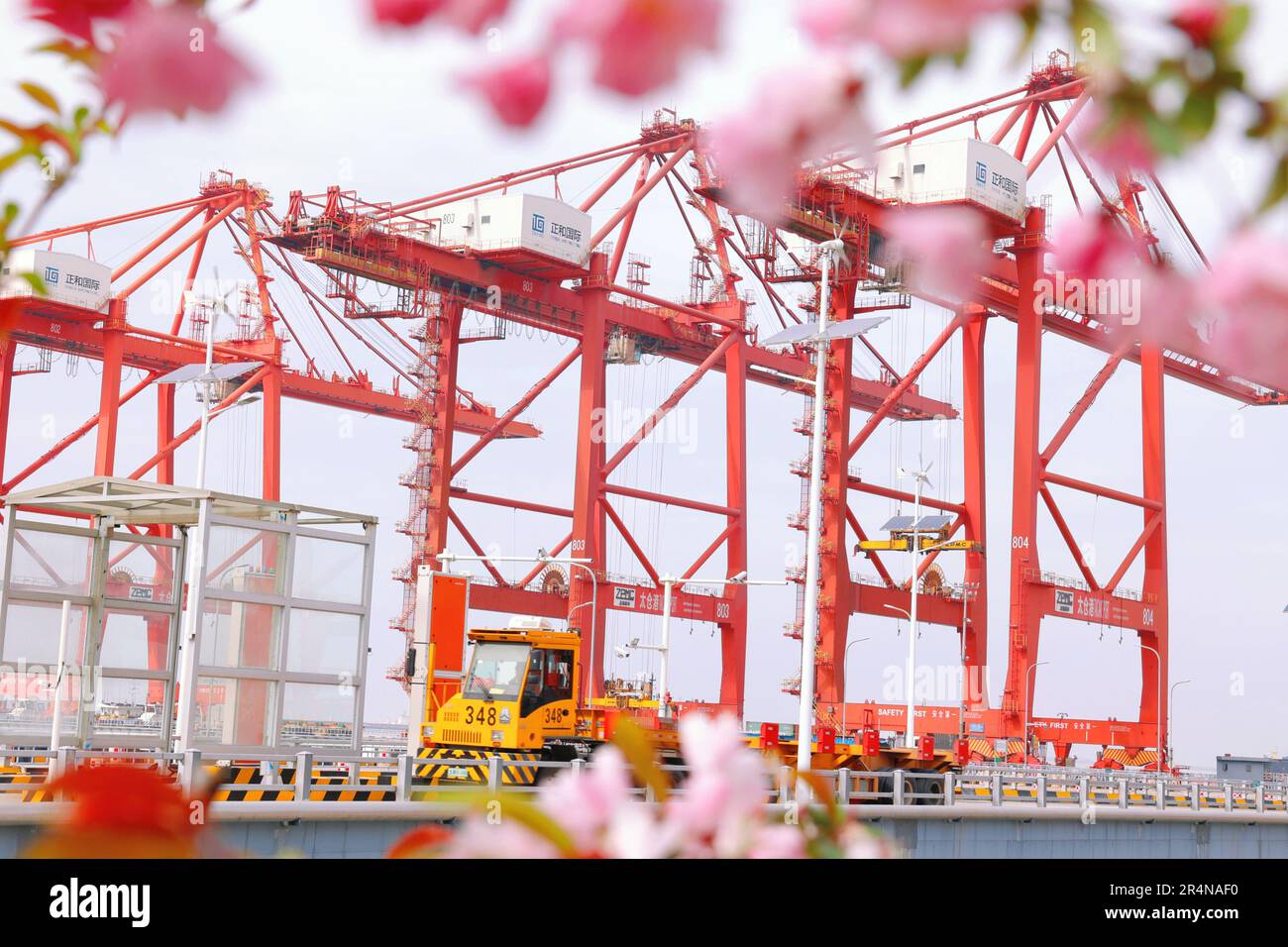 SUZHOU, CHINA - 29. APRIL 2023 - (DATEI) der Hafen von Taicang im Blumenmeer in Suzhou, Provinz Jiangsu, China, 29. März 2023. Stockfoto
