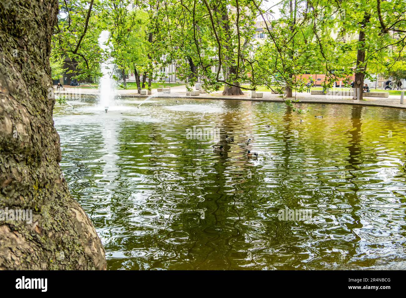 Blick auf einen Park in Trient. 23. April 2023 Trento, Trentino Alto Adige, Italien Stockfoto